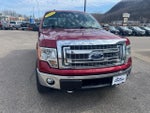2014 F-150 Thumbnail 3