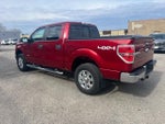 2014 F-150 Thumbnail 4