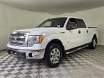 2014 F-150 Thumbnail 4