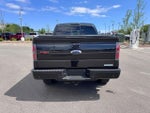 2014 F-150 Thumbnail 4