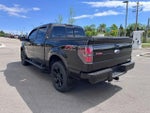 2014 F-150 Thumbnail 5