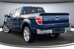 2014 F-150 Thumbnail 4