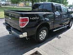 2014 F-150 Thumbnail 4