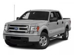 2014 F-150 Thumbnail 1