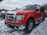 2014 F-150 Thumbnail 2