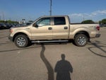 2014 F-150 Thumbnail 7