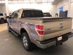 2014 F-150 Thumbnail 6