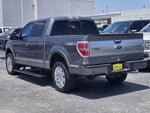 2013 F-150 Thumbnail 6