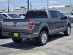 2013 F-150 Thumbnail 8