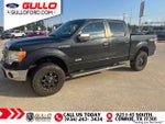 2013 F-150 Thumbnail 3