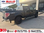 2013 F-150 Thumbnail 6