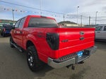 2013 F-150 Thumbnail 2