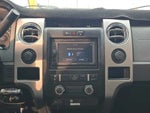 2013 F-150 Thumbnail 12