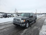 2013 F-150 Thumbnail 1