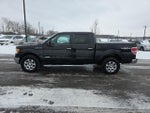 2013 F-150 Thumbnail 4