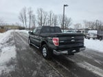 2013 F-150 Thumbnail 5
