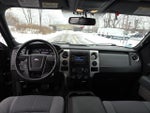 2013 F-150 Thumbnail 10