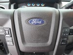 2013 F-150 Thumbnail 12