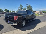 2013 F-150 Thumbnail 5