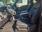 2013 F-150 Thumbnail 12