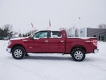 2013 F-150 Thumbnail 2