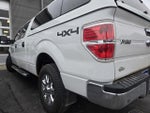 2014 F-150 Thumbnail 3