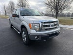 2014 F-150 Thumbnail 19
