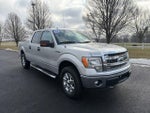 2014 F-150 Thumbnail 20