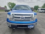 2014 F-150 Thumbnail 3