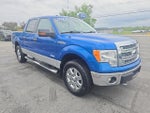 2014 F-150 Thumbnail 4