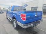 2014 F-150 Thumbnail 8