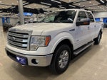 2014 F-150 Thumbnail 4