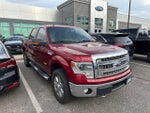 2014 F-150 Thumbnail 2