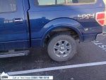 2012 F-150 Thumbnail 2