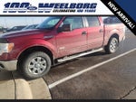2013 F-150 Thumbnail 1