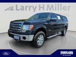 2013 F-150 Thumbnail 1