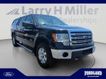2013 F-150 Thumbnail 7