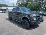 2013 F-150 Thumbnail 1