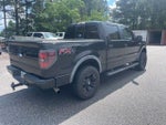2013 F-150 Thumbnail 6