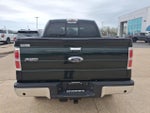 2013 F-150 Thumbnail 4