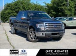 2013 F-150 Thumbnail 1