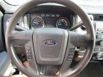 2014 F-150 Thumbnail 13
