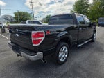 2014 F-150 Thumbnail 5