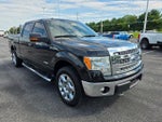 2014 F-150 Thumbnail 7