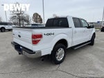 2014 F-150 Thumbnail 7