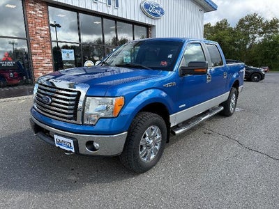 2011 Ford F-150 4X4 Platinum 4DR Supercrew Styleside 5.5 FT. SB