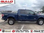 2011 F-150 Thumbnail 9