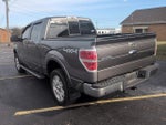 2012 F-150 Thumbnail 4