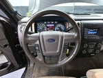 2013 F-150 Thumbnail 19