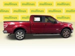 2013 F-150 Thumbnail 2
